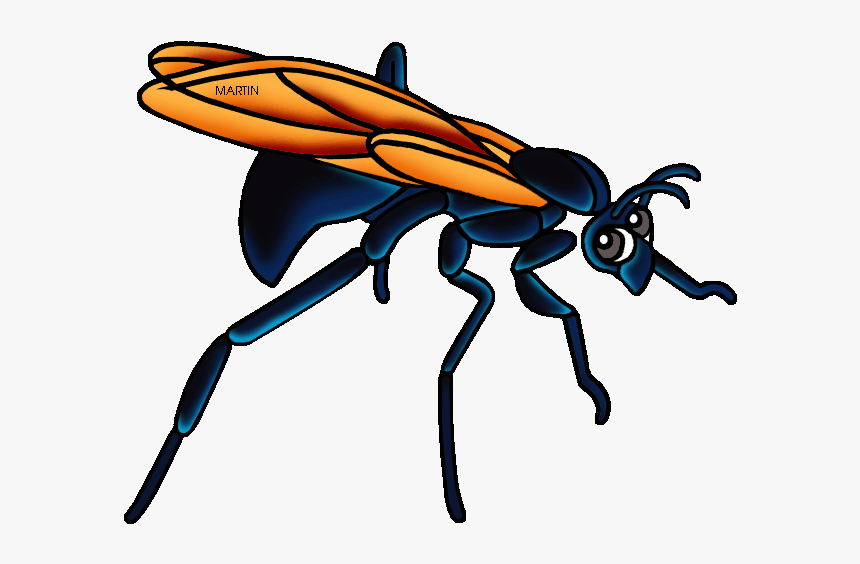 New Mexico State Insect Tarantula Hawk Wasp - Tarantula Hawk Wasp Clipart, HD Png Download, Free Download