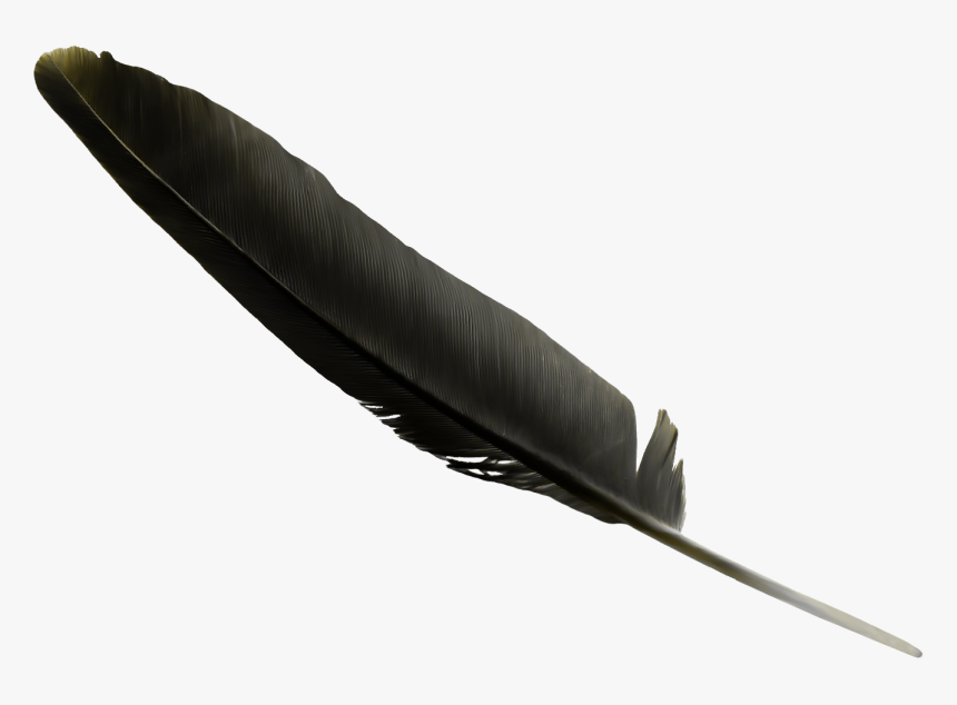 Feather Black Clip Art - Black Feather Transparent Background, HD Png Download, Free Download