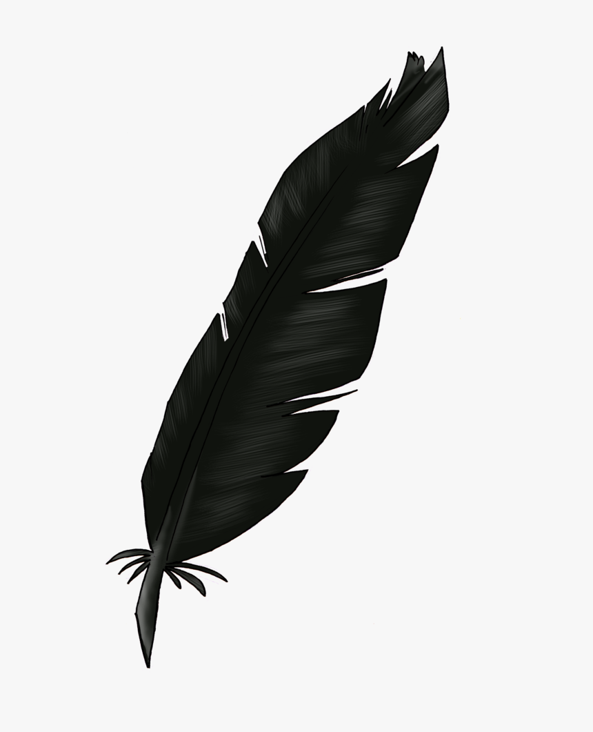 Black Feather Transparent Images