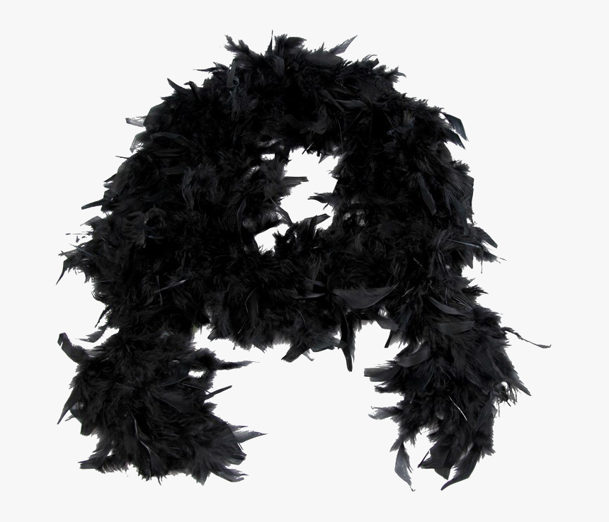 Feather-boa - Feather Boa White Background, HD Png Download, Free Download