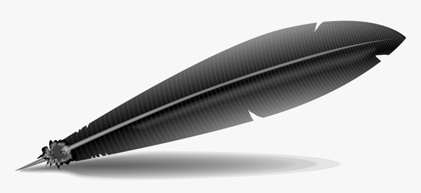 Black Feather - Feather Clip Art, HD Png Download, Free Download