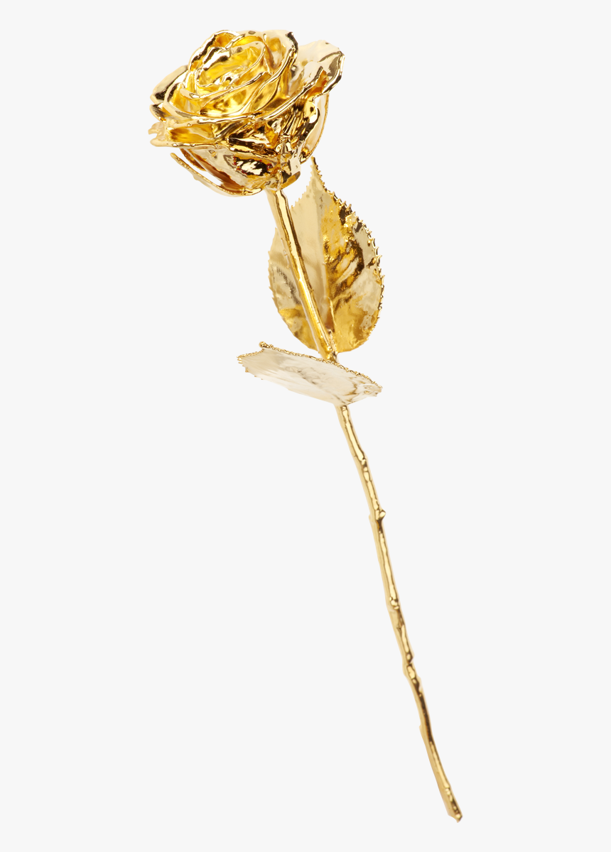 The Golden Rose - Rosa Dorada, HD Png Download, Free Download