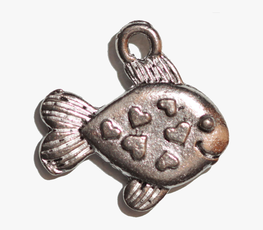 Transparent Christian Fish Png - Bronze, Png Download, Free Download