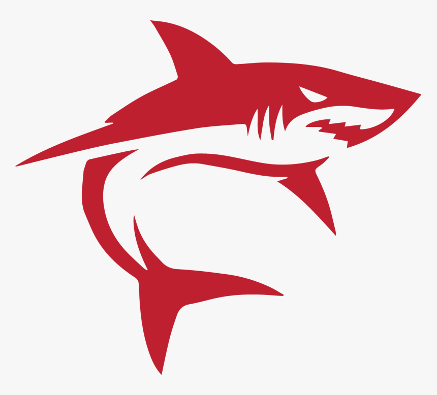 Shark, HD Png Download, Free Download