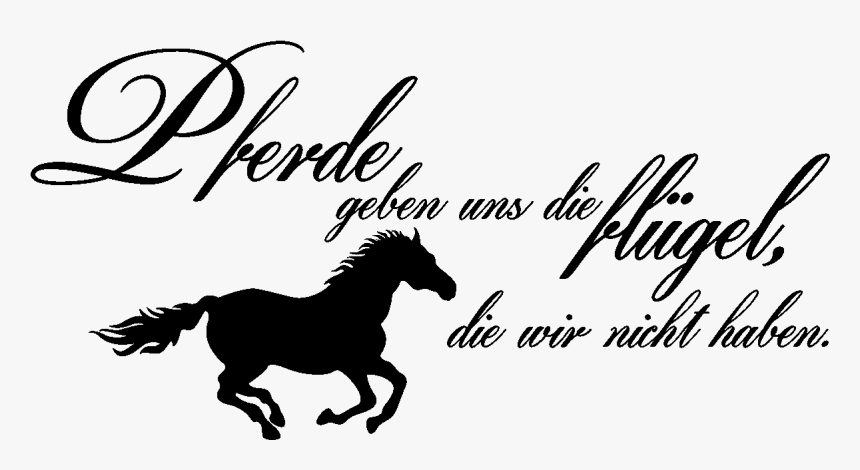 Stickers Muraux Citations - Running Horse Png, Transparent Png, Free Download