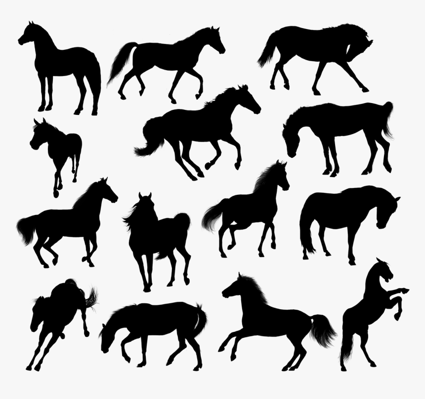 Horse Horses Silhouette Free Picture - Chevaux Silhouette, HD Png Download, Free Download