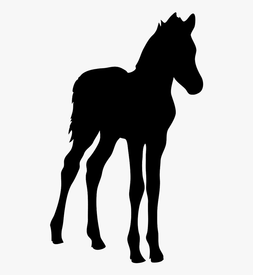 Baby Horse Silhouette Clipart , Png Download - Baby Horse Foal Silhouette, Transparent Png, Free Download