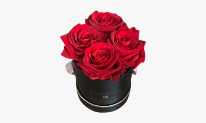 Red Long Lasting Roses In X-small Round Black Box - 12 Red Rose Small Round Box, HD Png Download, Free Download