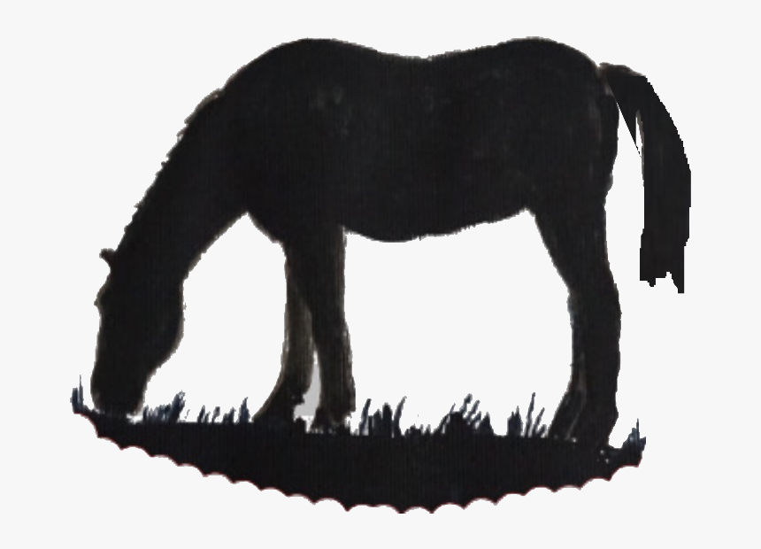 Grazing Horse Silhouette - Mane, HD Png Download, Free Download