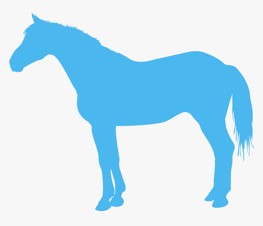 Etiqueta De Caballo Para Imprimir, HD Png Download, Free Download