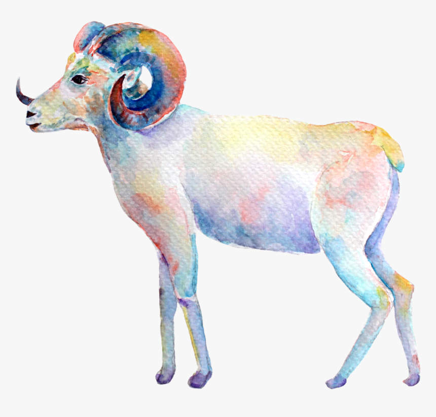 Aries New Moon - Bighorn, HD Png Download, Free Download