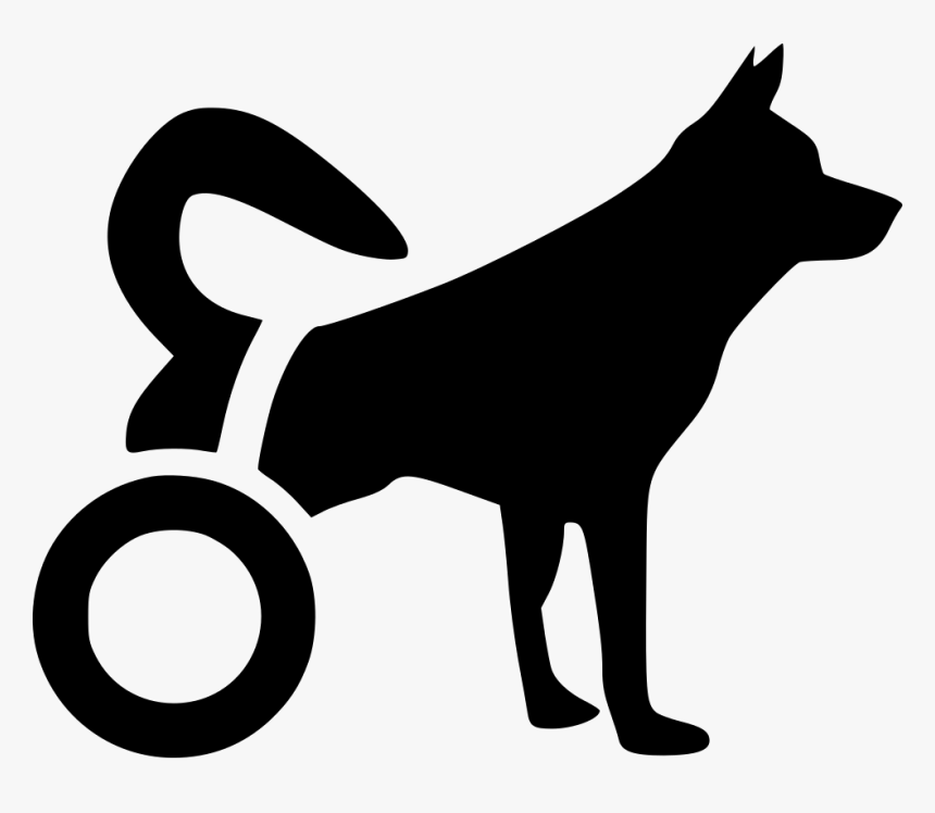 Disabled Dog - Disabled Dog Clipart, HD Png Download, Free Download