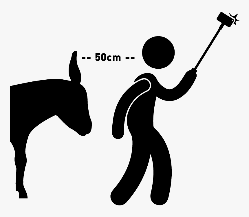 Walk The Dog Icon Clipart , Png Download - Silhouette, Transparent Png, Free Download