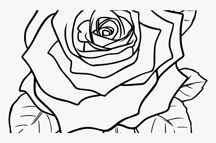 Vintage Flower Drawing At Getdrawings - Beautiful Rose Flower Drawing, HD Png Download, Free Download