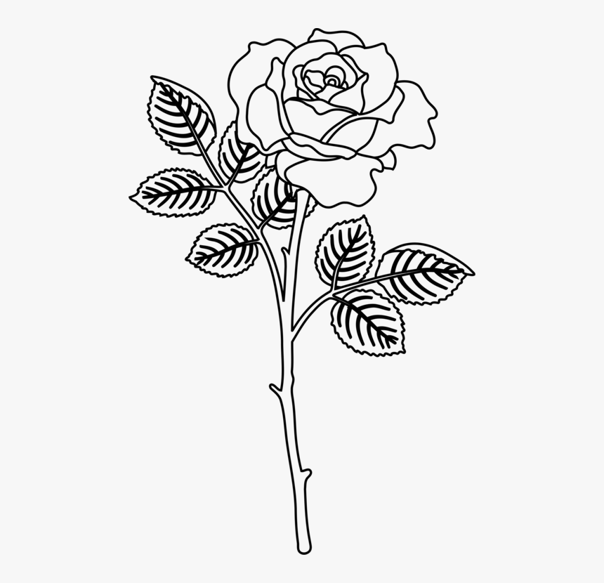 Hybrid Drawing Flower - Flower Design Drawing Rose, HD Png Download, Free Download