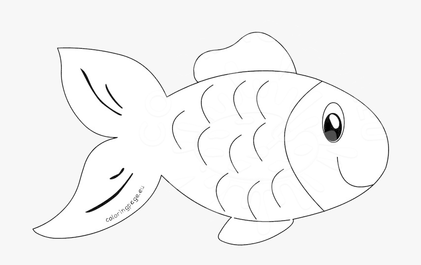 Fish Clipart Outline - Outline Images Of Fish Clipart, HD Png Download, Free Download