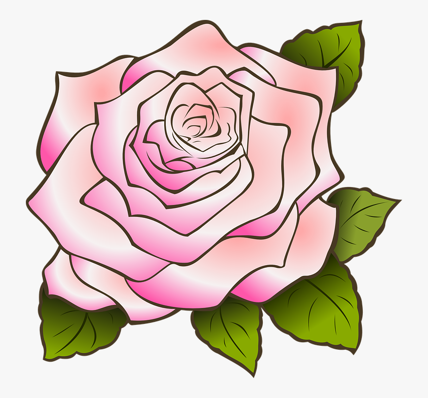 Rose, Drawing, Vintage, Pink, Petals, Flower, Design - Pink Cartoon Rose Png, Transparent Png, Free Download