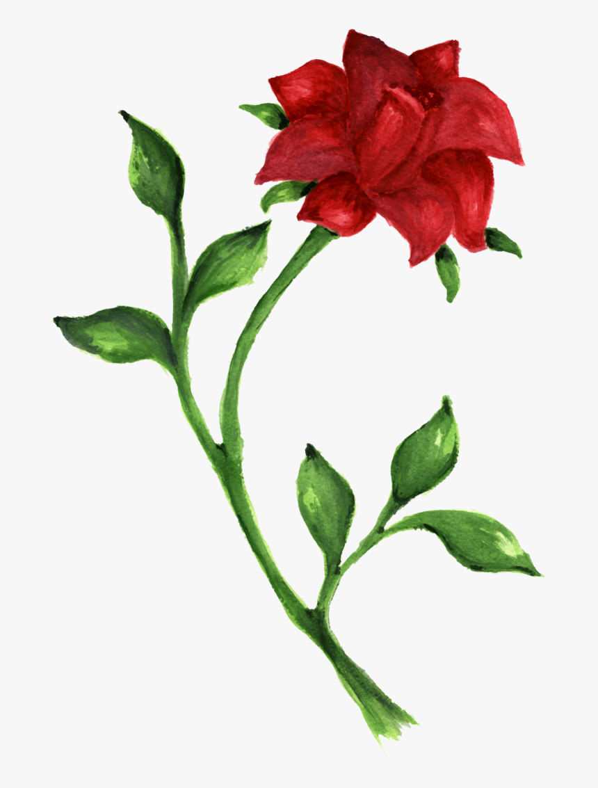 Rose Drawing Desktop Wallpaper Clip Art - Red And Green Drawings, HD Png Download, Free Download