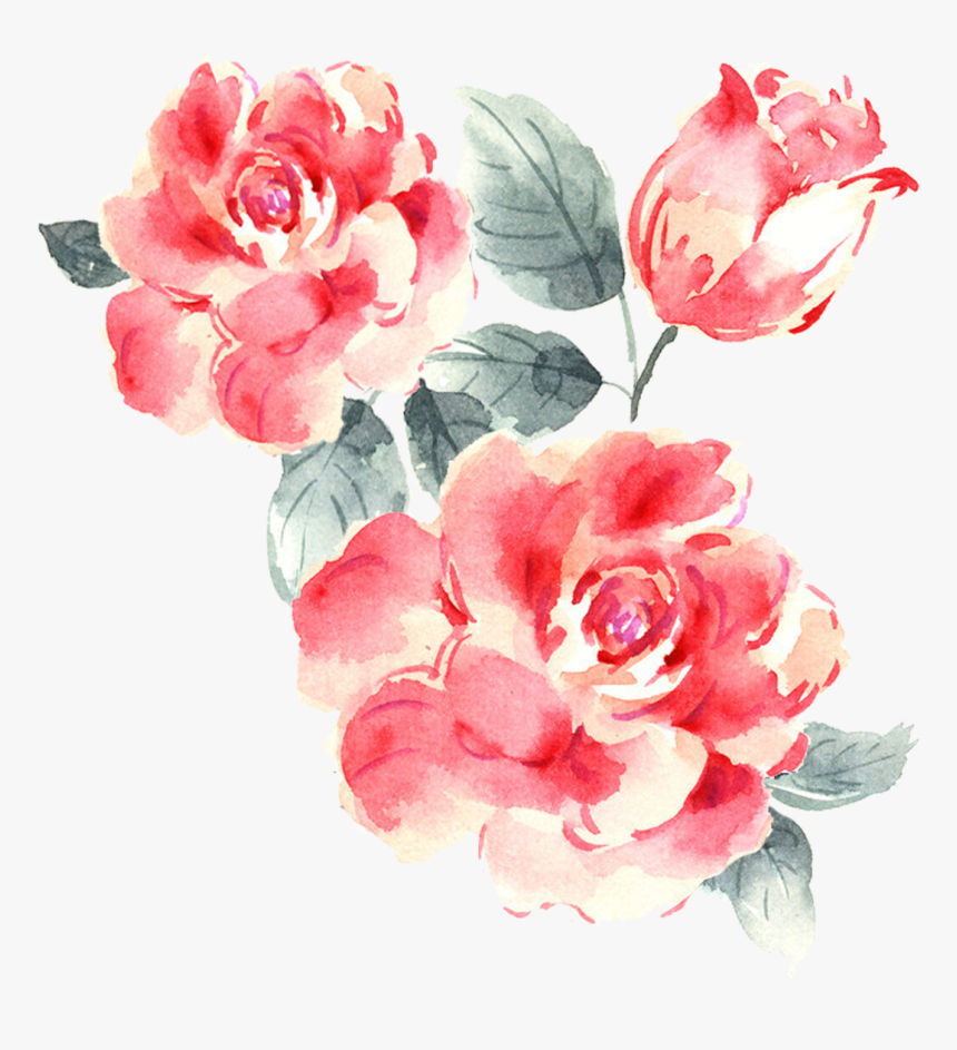 Garden Roses Drawing - Rose Drawing Pink Png, Transparent Png, Free Download