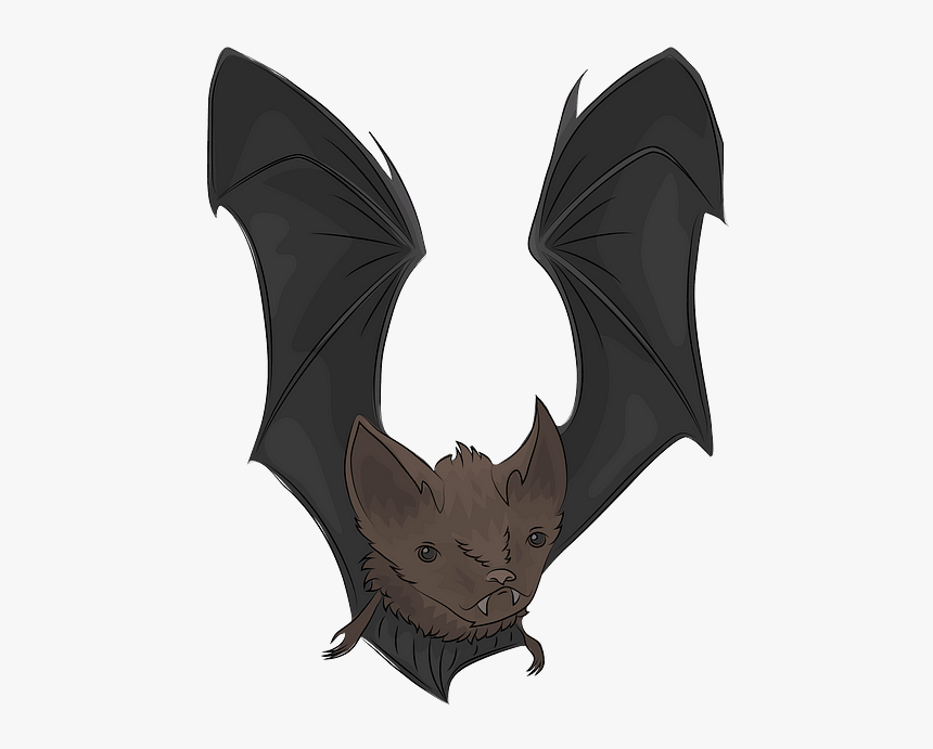 Comma, HD Png Download, Free Download