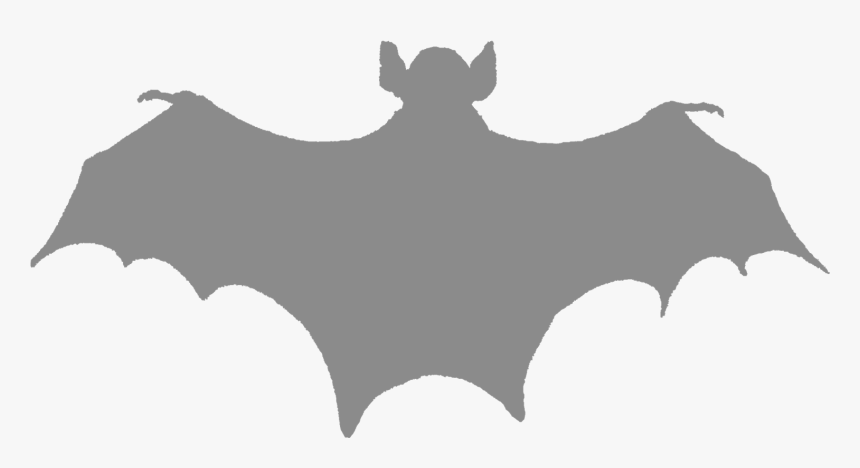 Bat Silhouette No Background, HD Png Download, Free Download