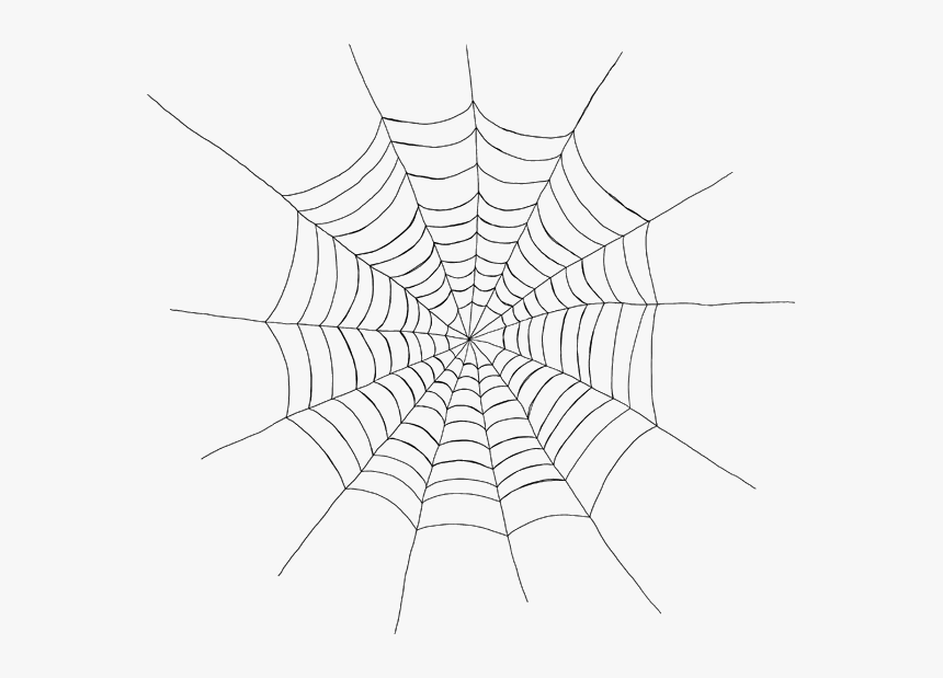 Spiderman Spider Web Png, Transparent Png, Free Download