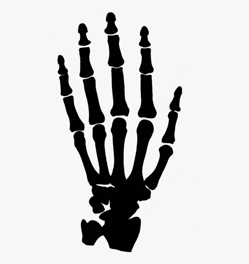 Hands Png For - Skeleton Hand Png, Transparent Png, Free Download