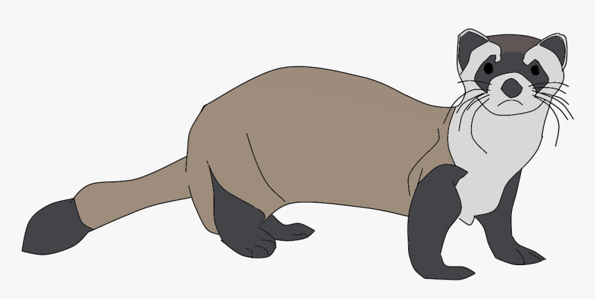 Ferret Png Clipart - Black Footed Ferret Clipart, Transparent Png, Free Download