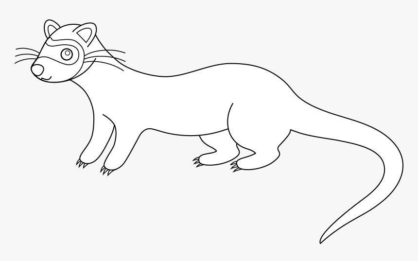 Black-footed Ferret Drawing Clip Art - Drawing, HD Png Download, Free Download