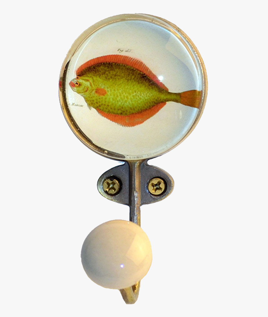 "
 Class="lazyload Lazyload Mirage Cloudzoom Featured - Feeder Fish, HD Png Download, Free Download