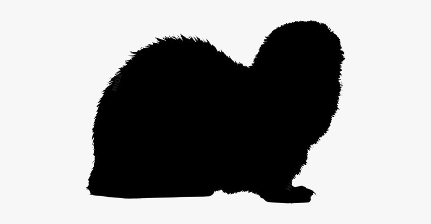 Weasel Ferret Png Black And White - Cat, Transparent Png, Free Download