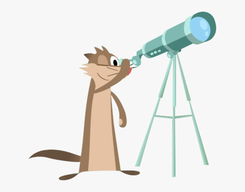 Luna"s Pet Ferret Clyde Looking Through Telescope - Show Da Luna Telescopio, HD Png Download, Free Download