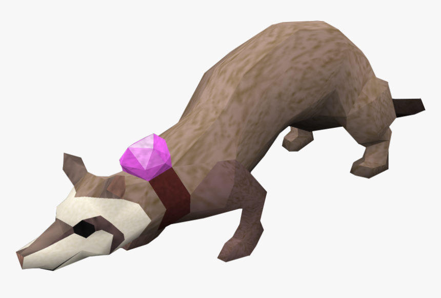 Runescape Ferret, HD Png Download, Free Download