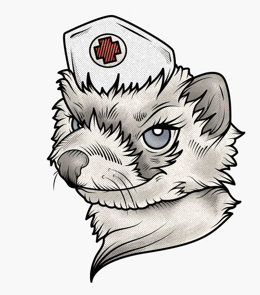 First Aid Ferret, HD Png Download, Free Download