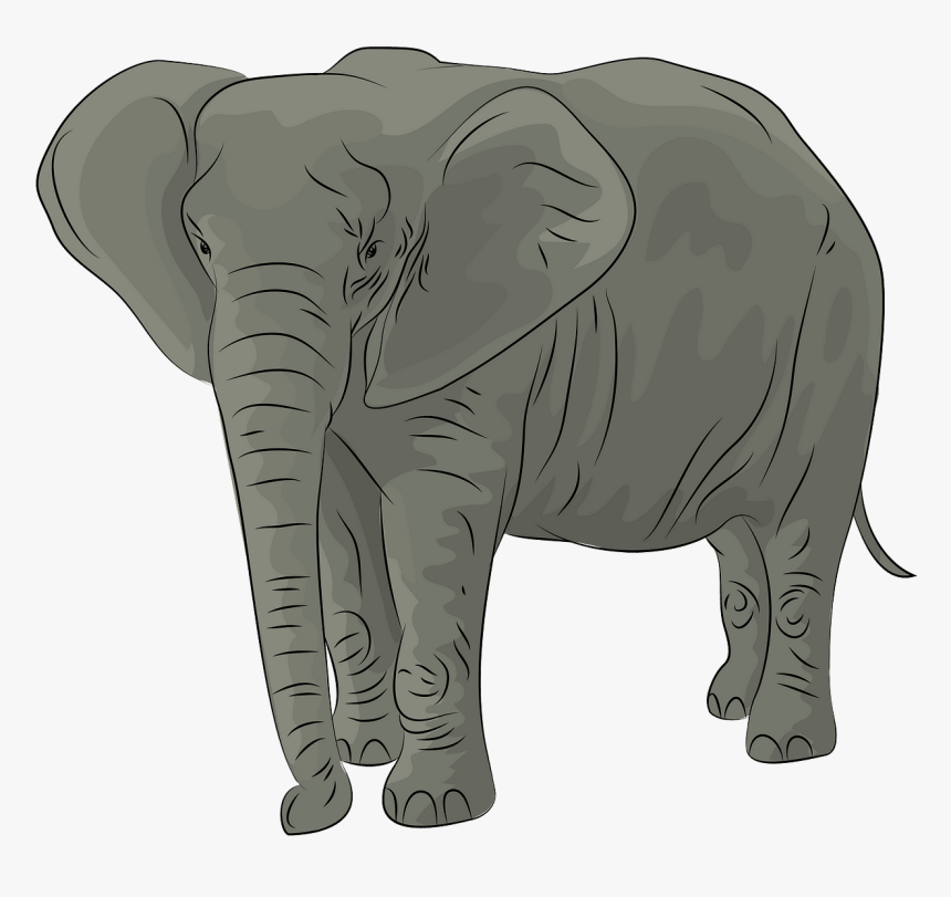 African Elephant Clipart - Real African Elephant Clipart, HD Png Download, Free Download