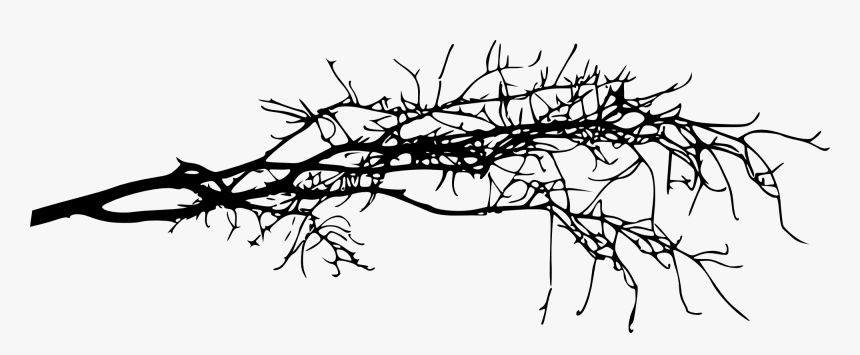 Tree Branch Transparent Background, HD Png Download, Free Download