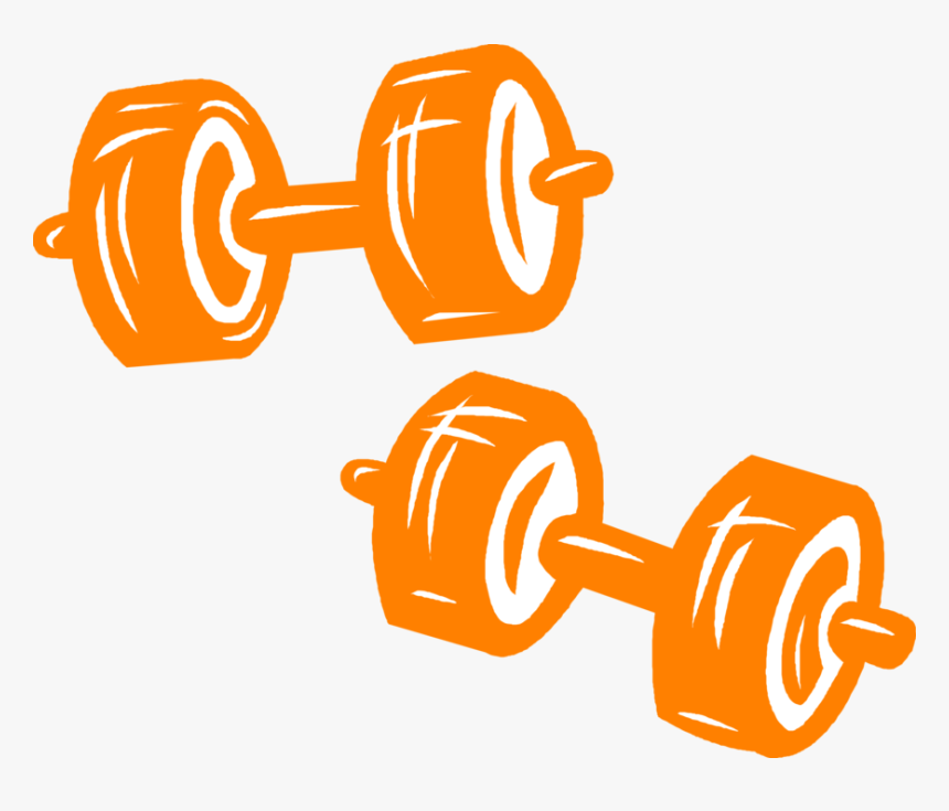 Clip Art Bodybuilding Weights And Dumbbells - Dumbbell Orange Vector Png, Transparent Png, Free Download