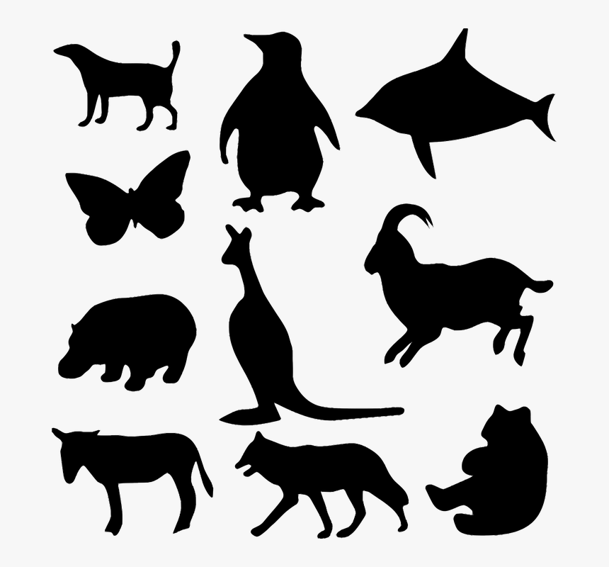 Animal, Bear, Butterfly, Dog, Donkey, Fish, Hippo - Animal Silhouettes Clipart, HD Png Download, Free Download