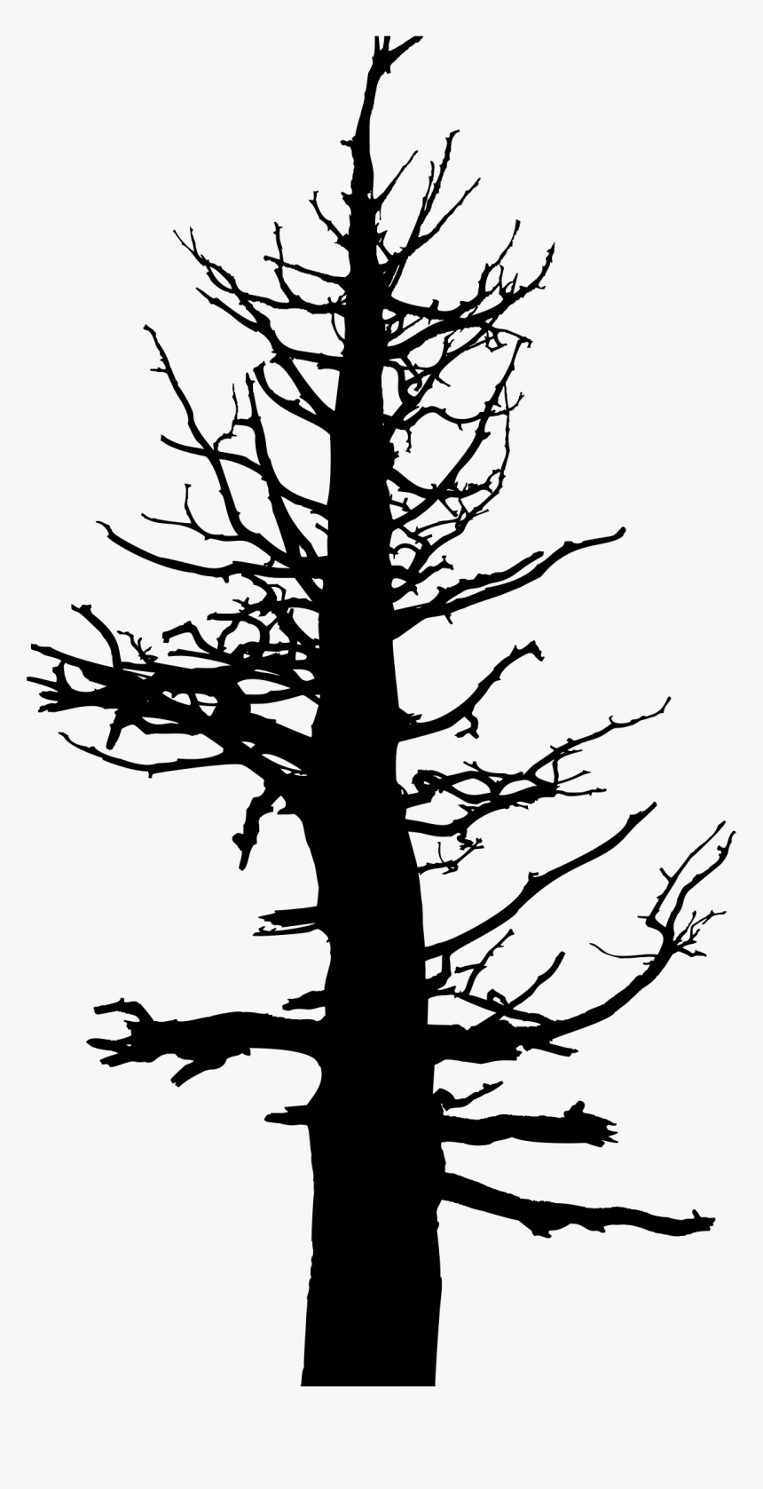 Old Dead Silhouette Big - Dead Pine Tree Silhouette, HD Png Download, Free Download