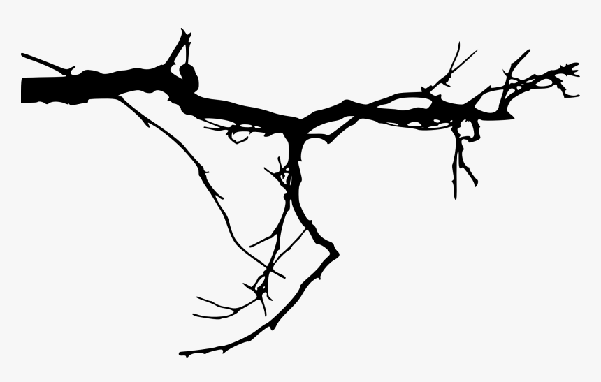 Transparent Tree Roots Silhouette Png - Tree Branches Transparent Background, Png Download, Free Download