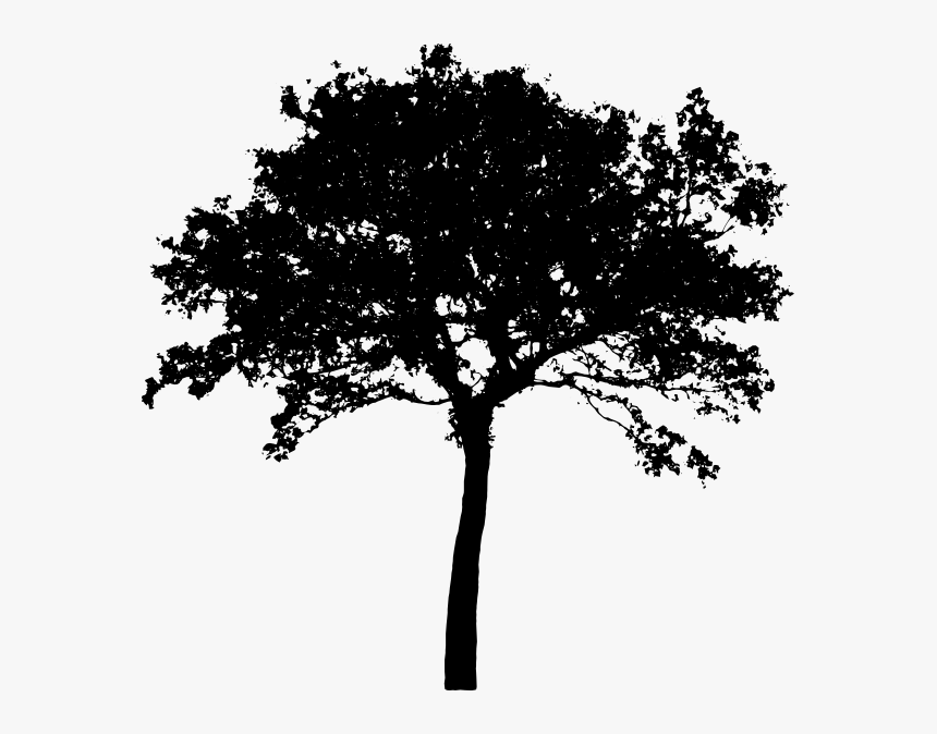 Silhouette Tree Vector Png, Transparent Png, Free Download