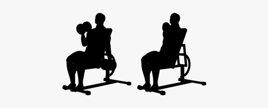 Seated Dumbbell Curls Png Transparent Images - Silhouette, Png Download, Free Download