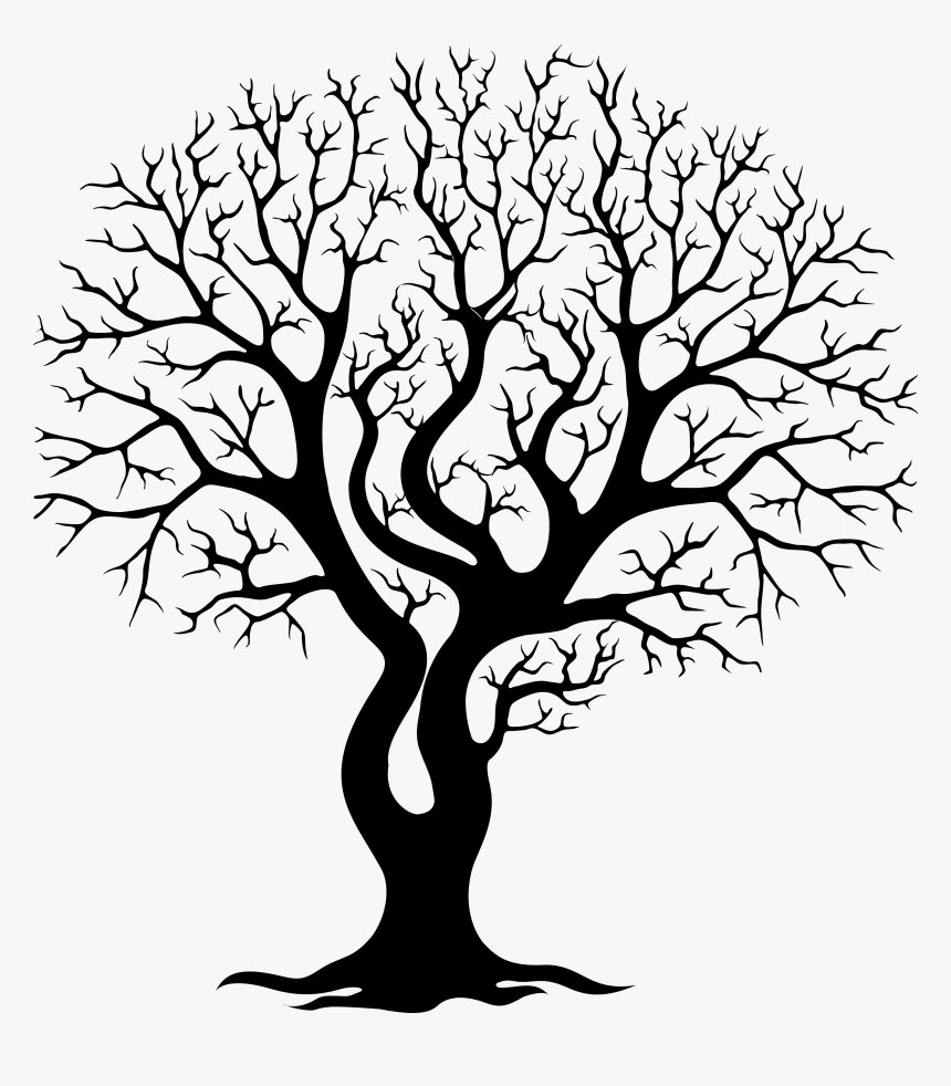 Tree,branch,woody Art,plant Stem,trunk,twig,black And - Bare Tree Branches Silhouette, HD Png Download, Free Download