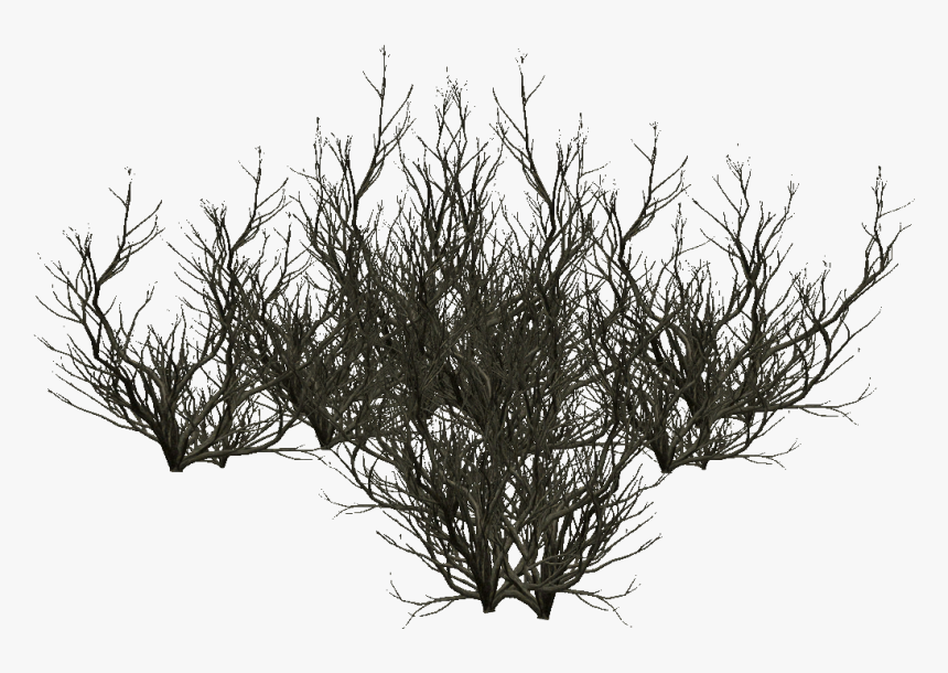 Transparent Tree With Roots Clipart Black And White - Silhouette, HD Png Download, Free Download