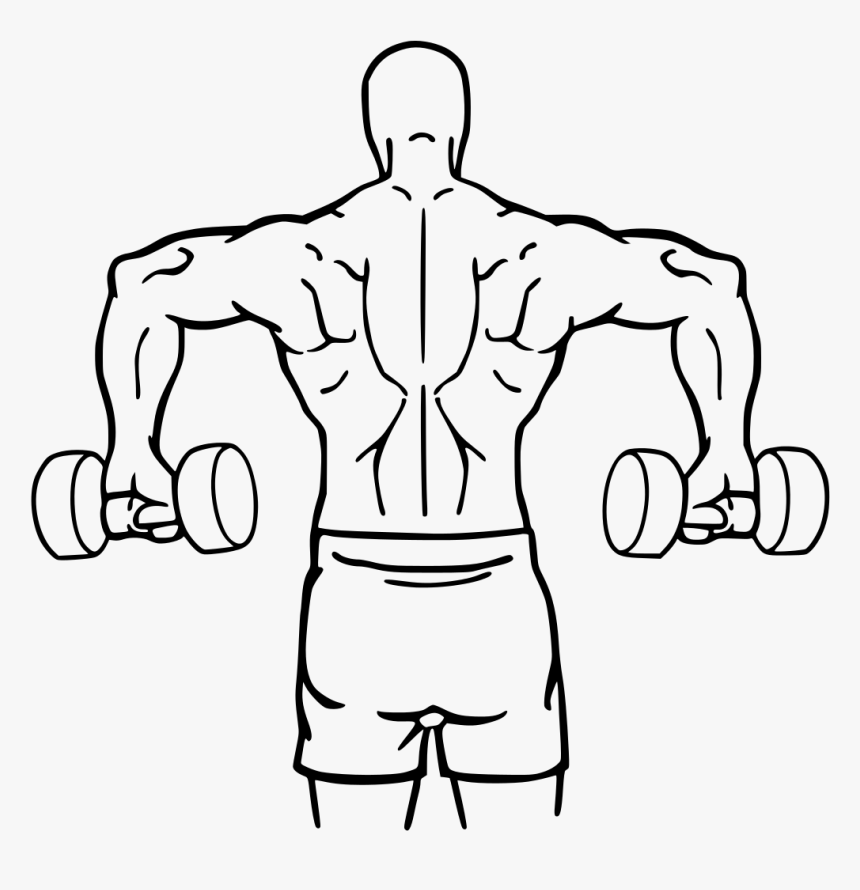 Download Dumbbell Drawing Bodybuilder Arm - Cuban Press, HD Png Download, Free Download