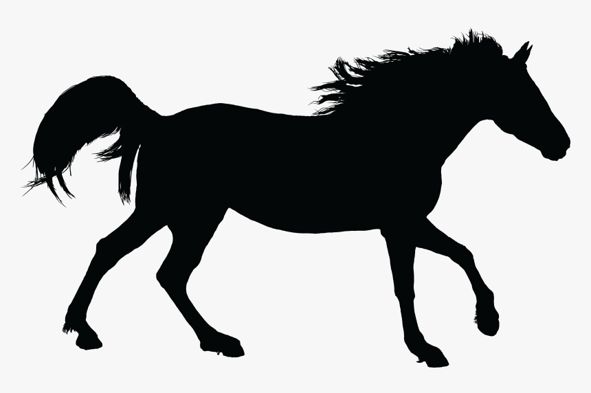 Free Clipart Of A Black Silhouette Of A Horse - Dark Outline Of A Horse, HD Png Download, Free Download