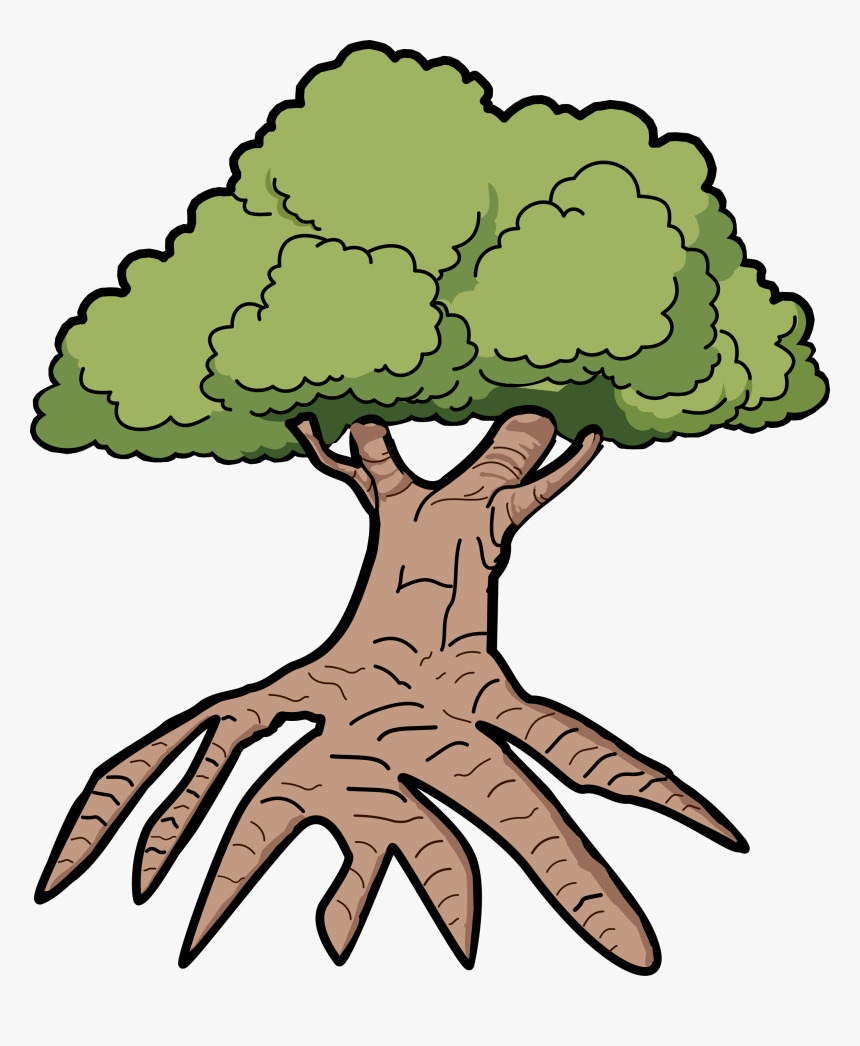 Tree With Long Roots - Drawing Cartoon Clipart Oak Tree, HD Png Download, Free Download