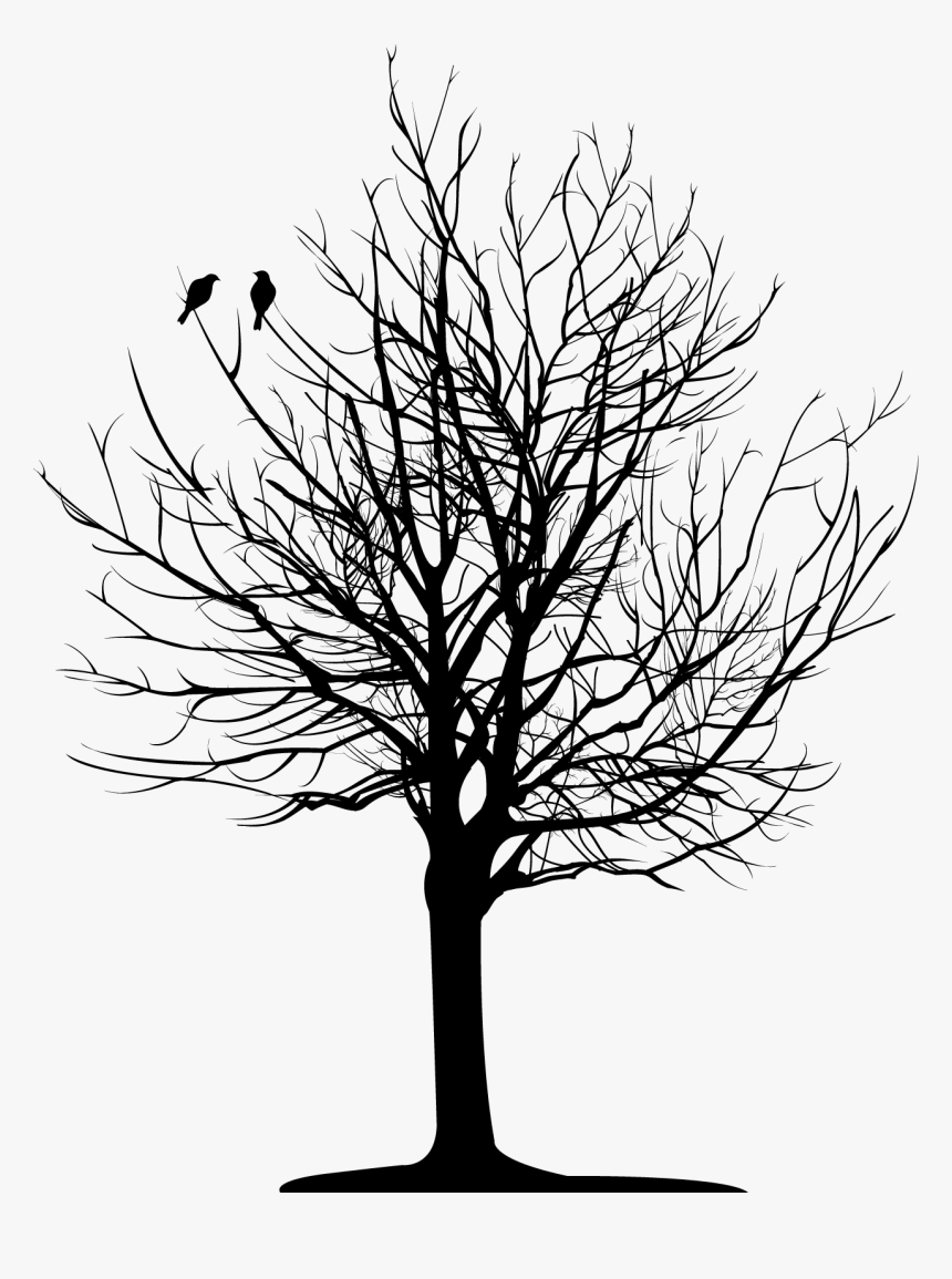 Christopher Allan Poe - Dark Tree Png Hd, Transparent Png, Free Download