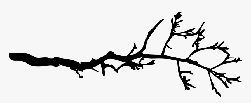 Black And White Tree Branch Clip Art, HD Png Download, Free Download