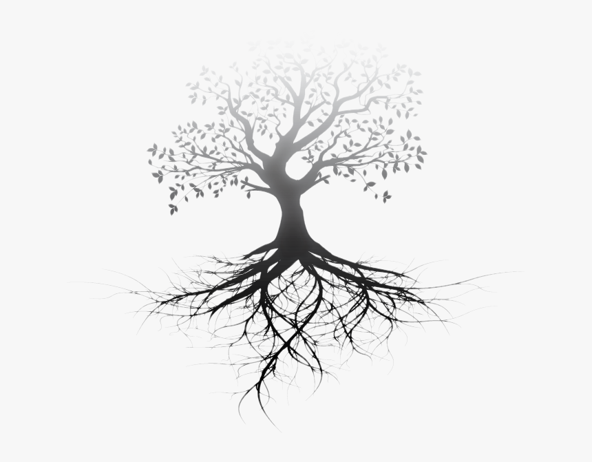 Transparent Tree Of Life, HD Png Download, Free Download